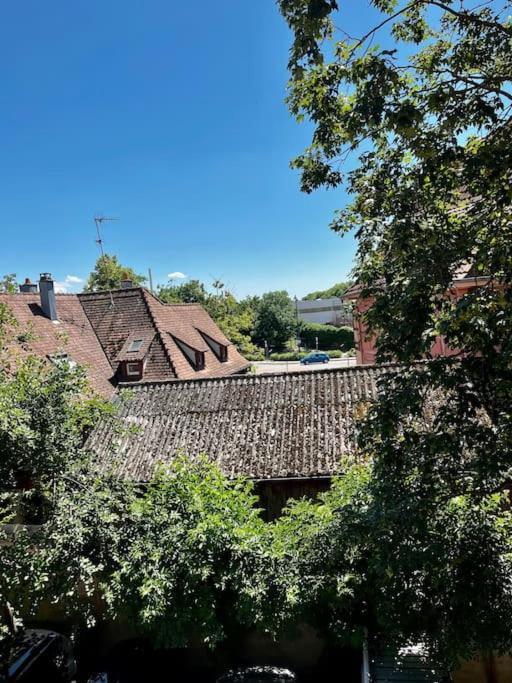 Appartement De Charme Alsacien, Centre Historique Sélestat Екстериор снимка