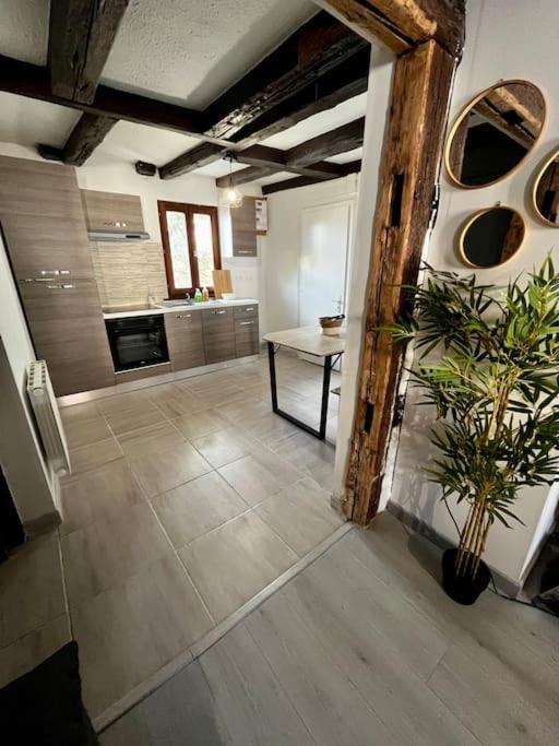 Appartement De Charme Alsacien, Centre Historique Sélestat Екстериор снимка
