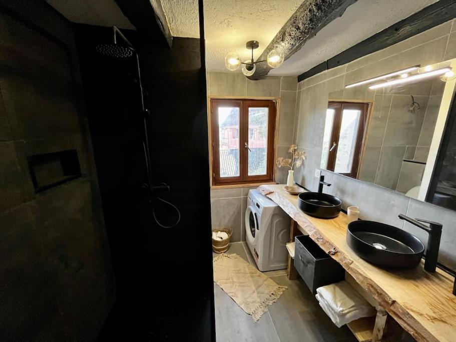 Appartement De Charme Alsacien, Centre Historique Sélestat Екстериор снимка