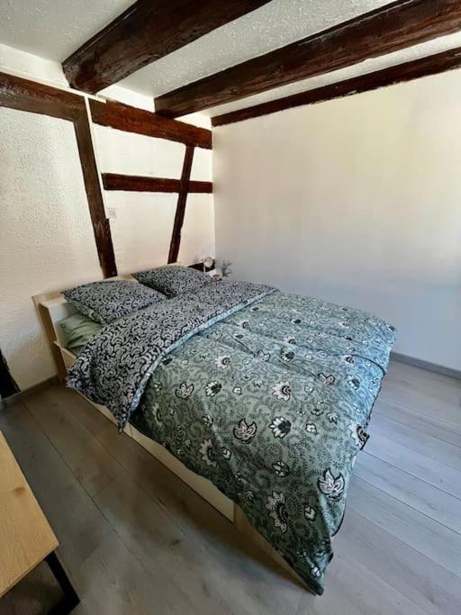 Appartement De Charme Alsacien, Centre Historique Sélestat Екстериор снимка