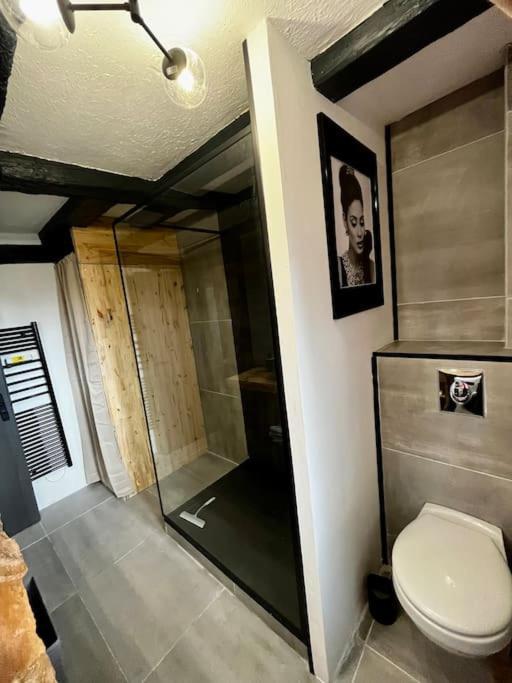 Appartement De Charme Alsacien, Centre Historique Sélestat Екстериор снимка